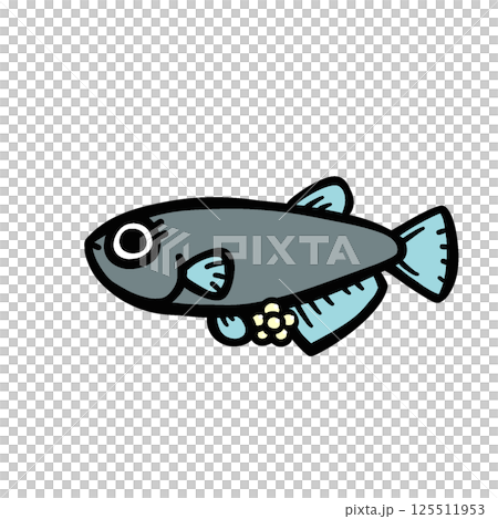 產卵鱂魚的插圖 產卵鱂魚的插圖 125511953