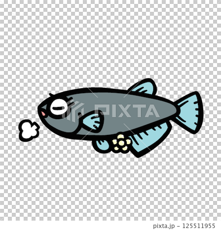 産卵中の悲しむメダカのイラスト 125511955