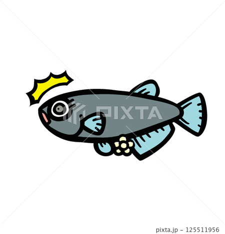 産卵中のビックリするメダカのイラスト 125511956