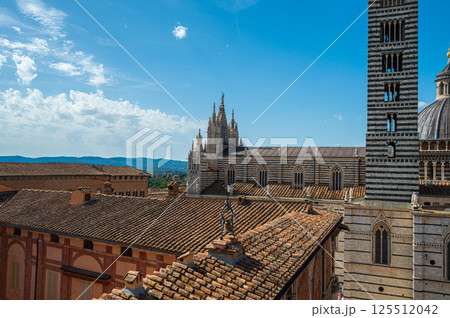 Panoramic View of Siena Cathedral 125512042
