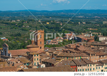 Panoramic View of Siena, Italy 125512050
