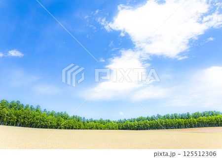北海道美瑛町の青空と雲の爽やかな風景 北海道美瑛町の青空と雲の爽やかな風景 125512306
