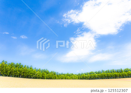 北海道美瑛町の青空と雲の爽やかな風景 北海道美瑛町の青空と雲の爽やかな風景 125512307