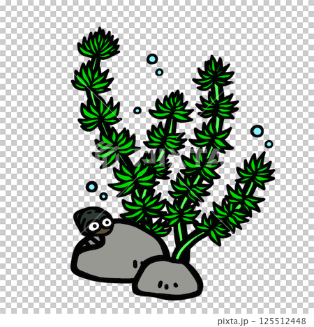 浮萍與蝸牛的插圖 浮萍與蝸牛的插圖 125512448