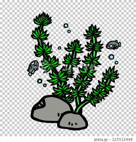 苔蘚和鱂魚的插圖 苔蘚和鱂魚的插圖 125512449