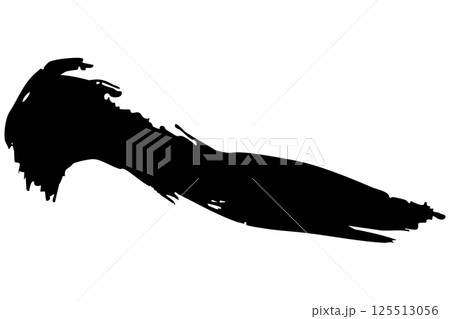 筆で描かれたダイナミックな線のイラストセット　ベクター 125513056
