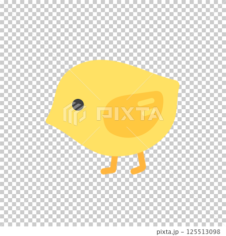 Chick illustration 125513098