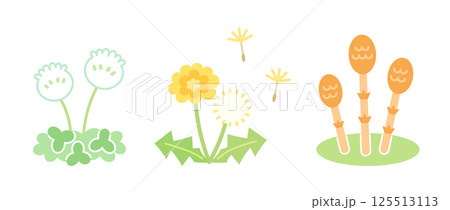 春の草花のイラスト　野の花 125513113