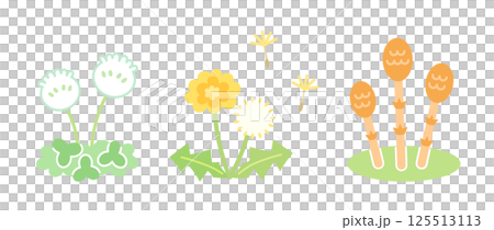 春の草花のイラスト　野の花 125513113
