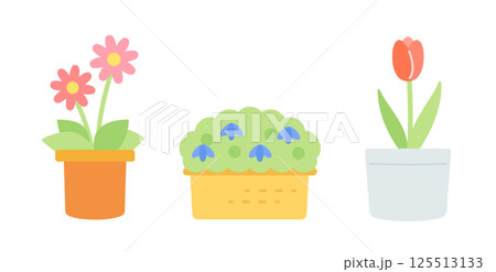 春の鉢植えのイラスト 花 植木鉢 春の鉢植えのイラスト 花 植木鉢 125513133