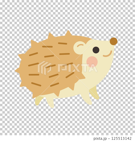 ハリネズミのイラスト ハリネズミのイラスト 125513142