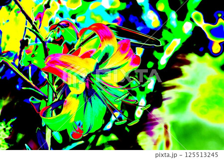 yellow lily flower, beautiful flower for designers. Changed color scheme. Colorful background. yellow lily flower, beautiful flower for designers. Changed color scheme. Colorful background. 125513245