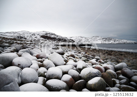 Snow-Covered Rocky Beach on Overcast Winter Day 125513632