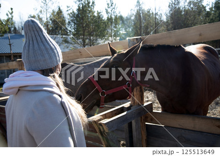 Woman Interacting with Horse in Outdoor Paddock 125513649