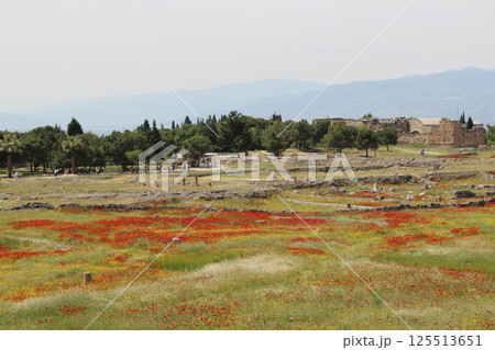 Ancient Ruins with Wildflowers and Distant View Ancient Ruins with Wildflowers and Distant View 125513651