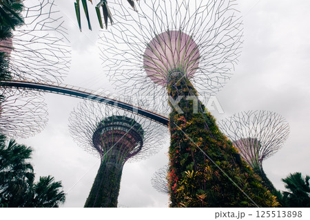 Garden by the bay in Singapore this is the most popular destination in Singapore 125513898