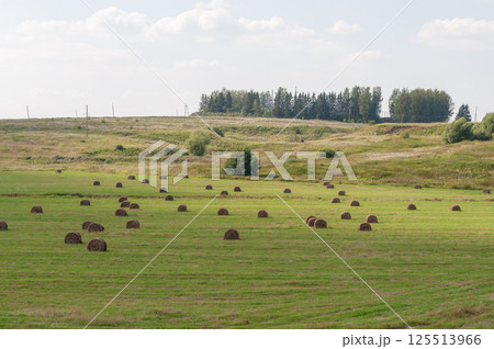 Summer country landscape with meadows 125513966