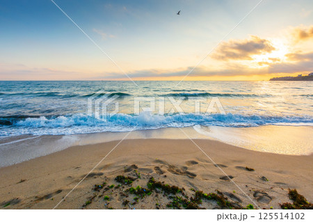 empty beach in the forenoon. beautiful landscape at the black sea. sunny weather. waves washing the sand on the shore. clouds glowing in morning light. calm summer vacation and travel destination 125514102