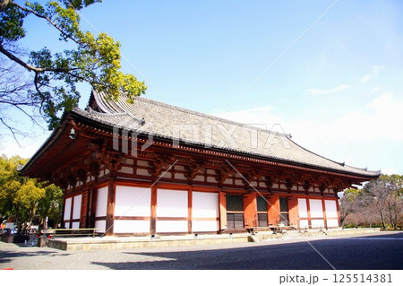 京都府　東寺・講堂（重要文化財） 京都市 南区 九条町　2022年2月 125514381
