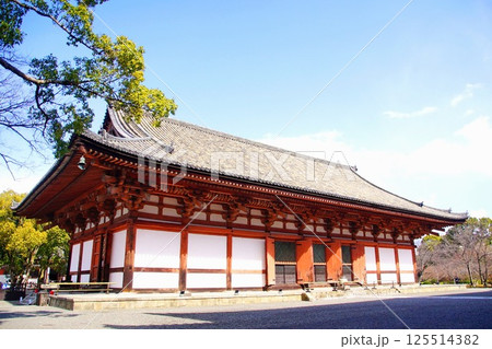 京都府　東寺・講堂（重要文化財） 京都市 南区 九条町　2022年2月 125514382