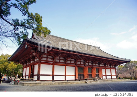 京都府　東寺・講堂（重要文化財） 京都市 南区 九条町　2022年2月 125514383