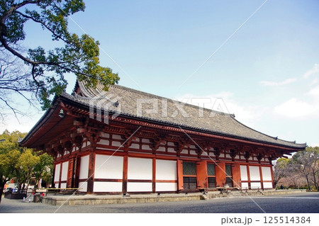 京都府　東寺・講堂（重要文化財） 京都市 南区 九条町　2022年2月 125514384