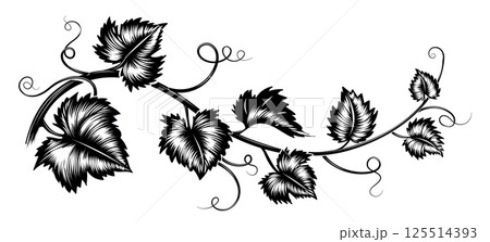 Grapes leaves branch engraving Grapes leaves branch engraving 125514393