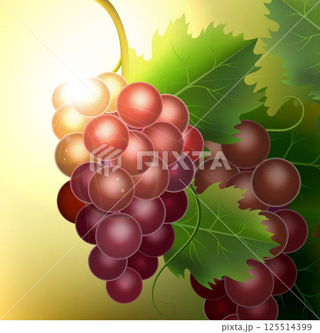 Bunch of red grapes 125514399
