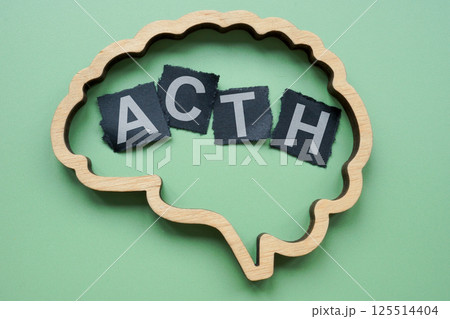 Brain and adrenocorticotropic hormone ACTH. Stress response. 125514404
