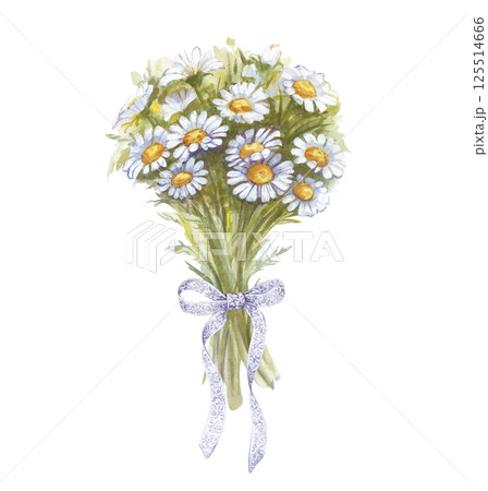 A bouquet of daisies tied with a white lace ribbon, hand-drawn. Watercolor illustration of white wildflowers on a white background. Isolated. Botanical illustration. Congratulation. Romance. 125514666
