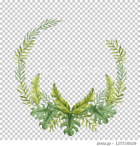 Tropical Leaves circle frame, Wreath. Eucalyptus, Banana Palm and Monstera. Watercolor Hand drawn botanical illustration isolated on white background. For cards, invitations and logos. 125516026