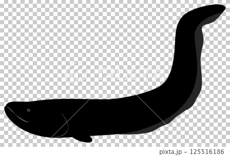 デンキウナギ 125516186