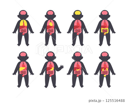 Internal organs of the child 125516488