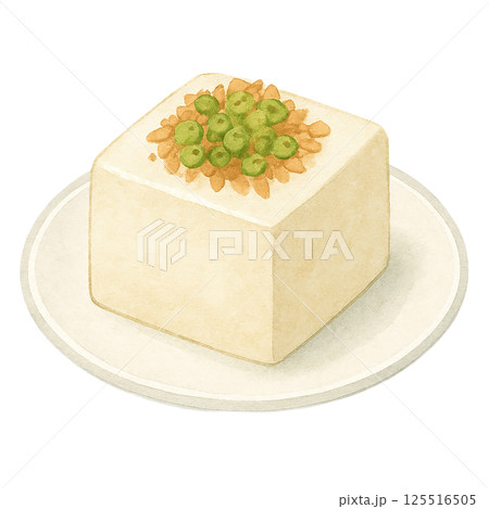 冷奴に薬味をのせた水彩イラスト 冷奴に薬味をのせた水彩イラスト 125516505