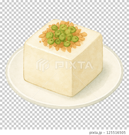 冷奴に薬味をのせた水彩イラスト 冷奴に薬味をのせた水彩イラスト 125516505