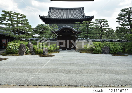 大本山建仁寺　方丈庭園「大雄苑」と法堂(京都市東山区) 125516753