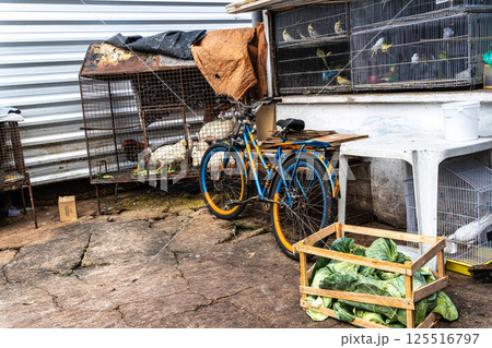 Living animals in Vero-o-Peso market at Belem do Para, Brazil, the famous Public Market in Belem. 125516797