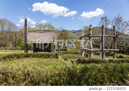 矢瀬遺跡 群馬県 矢瀬遺跡 群馬県 125516835