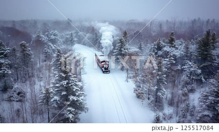Amidst a tranquil winter setting a vintage steam train with a black and red engine chugs along a snow-covered track surrounded by tall pine trees blanketed in white snow. 125517084