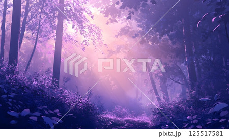 森に差し込む日差し 森に差し込む日差し 125517581