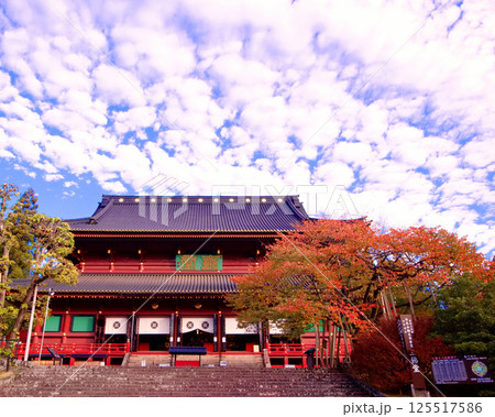 日光市　日光山輪王寺　三仏堂と金剛桜の紅葉 125517586