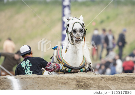 東北輓馬競技大会 障害に挑む輓馬と扶助 125517886
