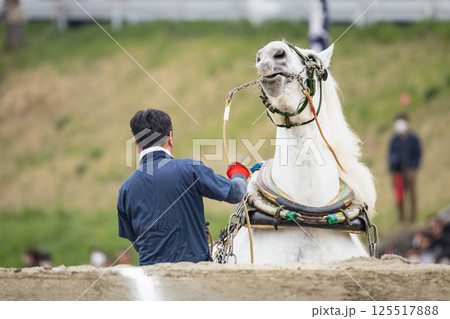 東北輓馬競技大会 障害に挑む輓馬と扶助 125517888