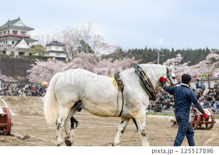 東北輓馬競技大会 輓馬と扶助 東北輓馬競技大会 輓馬と扶助 125517896