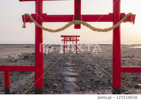 朝日に照らされる大魚神社の海中鳥居 朝日に照らされる大魚神社の海中鳥居 125518016