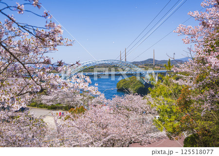 桜に囲まれた新西海橋と青空の春風景 125518077