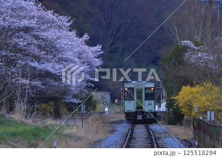 満開の桜が待つ早朝の小海線にやってきたキハ110系気動車の始発列車_2025/4/19撮影 125518294