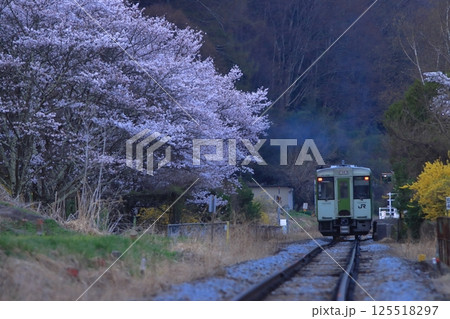 満開の桜が待つ早朝の小海線にやってきたキハ110系気動車の始発列車_2025/4/19撮影 125518297