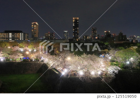 大坂城西の丸庭園の夜桜ライトアップ　大阪市内の高層ビルとライトアップされる西の丸庭園の夜桜 125519050