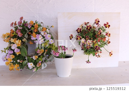 ビオラの寄せ植え 125519312